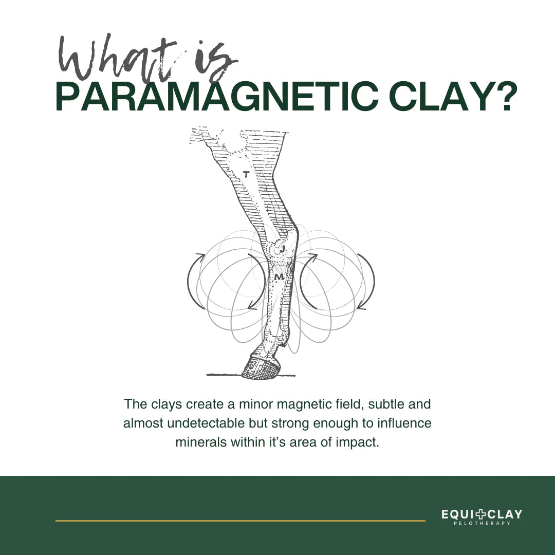 EquiClay Cooling Clay