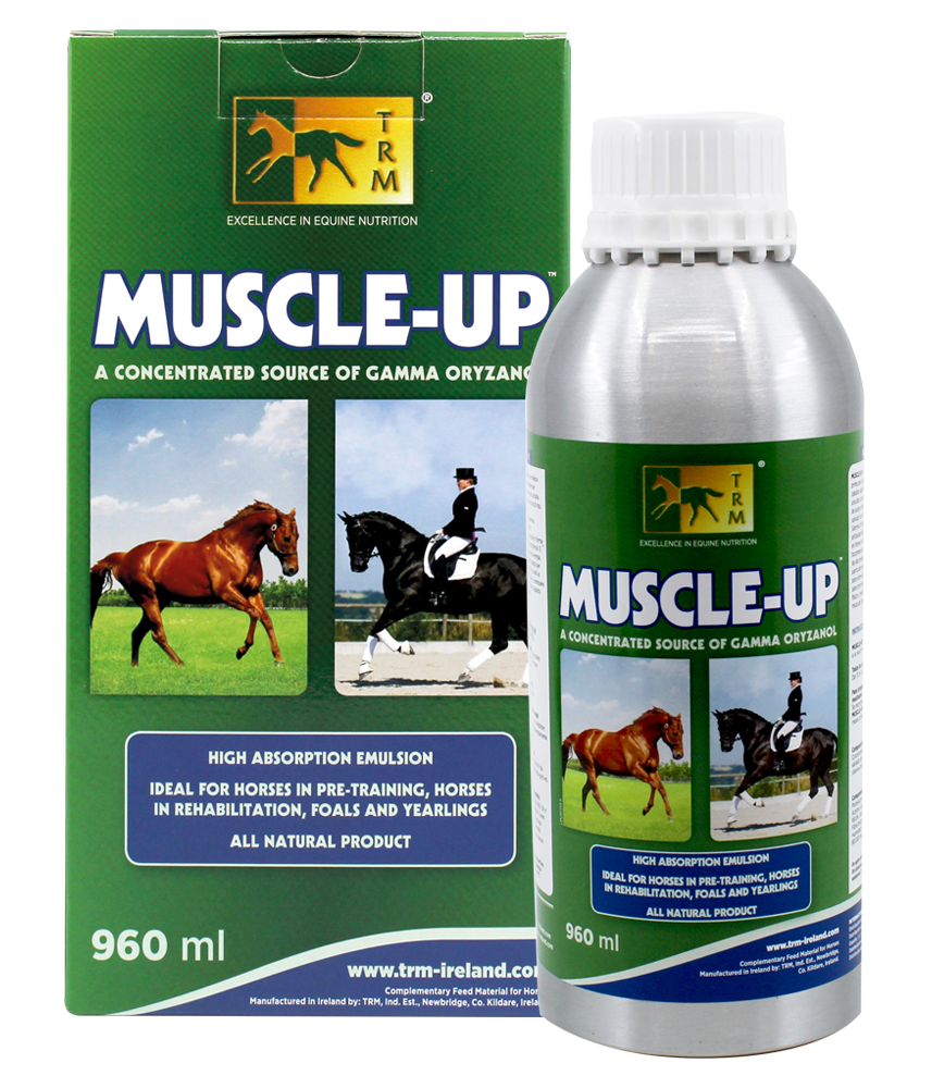 Muscle Up