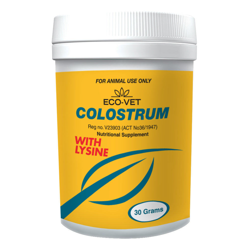 Colostrum